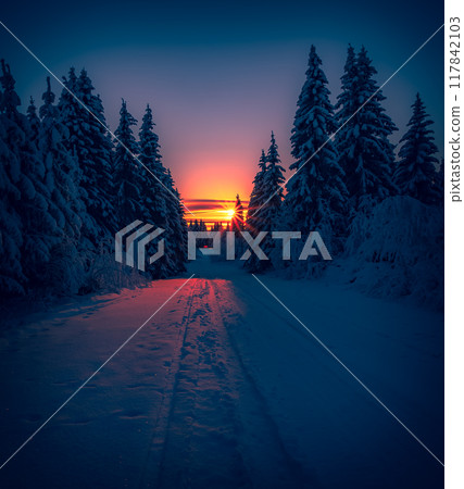 Winter landscape from Sotkamo, Finland. 117842103
