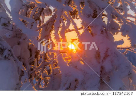 Winter landscape from Sotkamo, Finland. Winter landscape from Sotkamo, Finland. 117842107