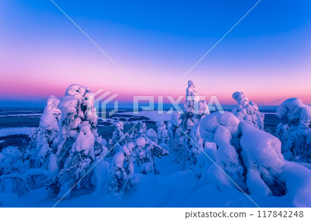 Winter landscape from Sotkamo, Finland. Winter landscape from Sotkamo, Finland. 117842248