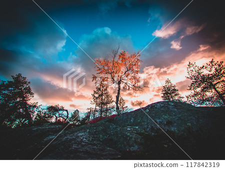 lake, landscape, tree 117842319