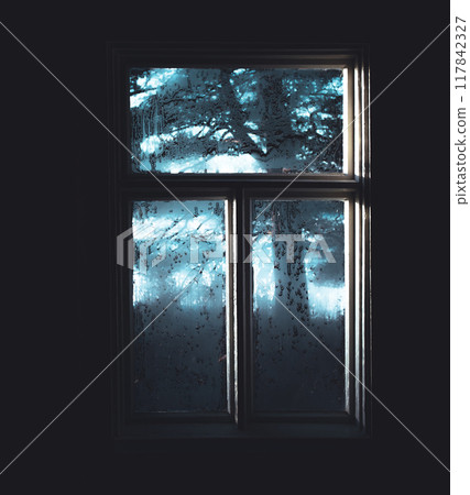 window, glass, winter 117842327