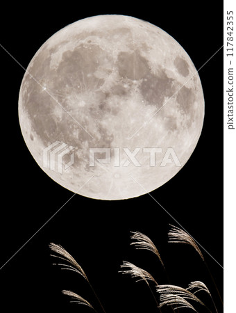 Susuki and the full moon 117842355