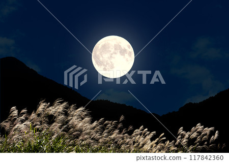 Susuki and the full moon 117842360