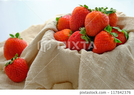 red ripe strawberries on a white background 117842376