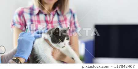 The veterinarian makes a vaccination of a cat The veterinarian makes a vaccination of a cat 117842407