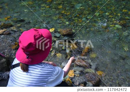Clear stream Clear stream 117842472
