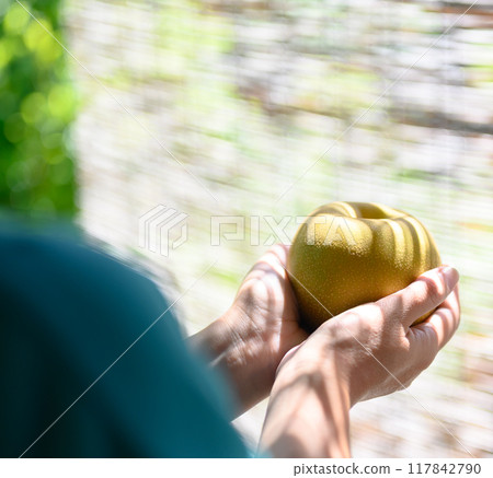 Pear and lady 117842790