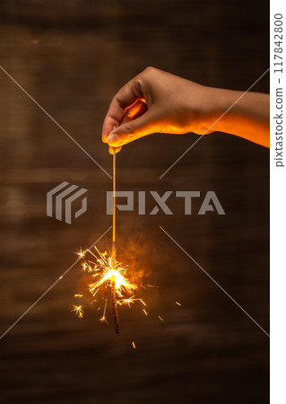 Fireworks Fireworks 117842800