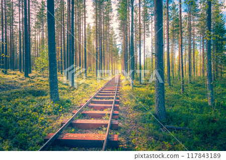 Marine railway in the middle of a forest.  117843189