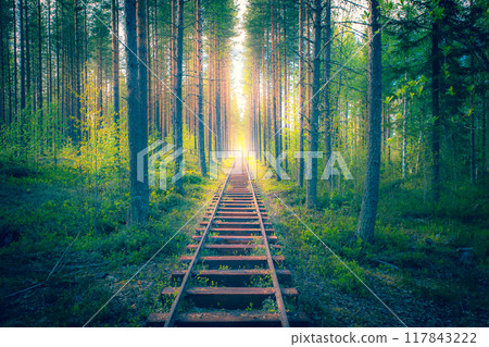 Marine railway in the middle of a forest. Marine railway in the middle of a forest. 117843222