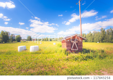 Grain field from Sotkamo, Finland. Grain field from Sotkamo, Finland. 117843258