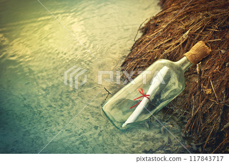 Message in a bottle Message in a bottle 117843717