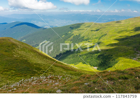 view in to the chornohora ridge valley. alpine landscape of carpathian mountains on a bright forenoon in summer. green hillside. forested hills and grassy meadows beneath a bright blue sky. travel view in to the chornohora ridge valley. alpine landscape of carpathian mountains on a bright forenoon in summer. green hillside. forested hills and grassy meadows beneath a bright blue sky. travel 117843759