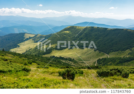 view in to the chornohora ridge valley. landscape of carpathian mountains on a bright afternoon in summer. forested hills and grassy meadows beneath a bright blue sky. travel ukraine 117843760