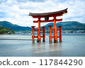 Floating Torii gate of Itsukushima Shrine at Miyajima, Hiroshima 117844290