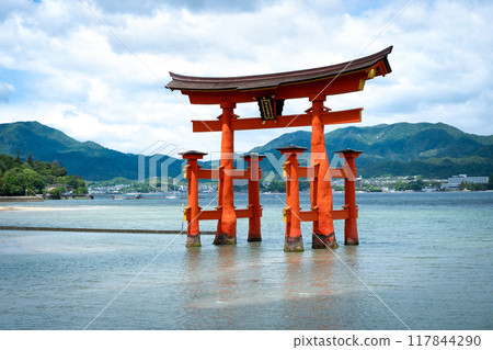 Floating Torii gate of Itsukushima Shrine at Miyajima, Hiroshima 117844290