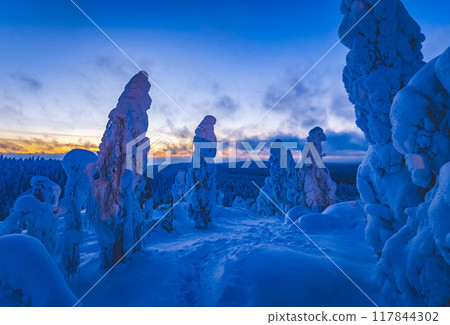 Winter landscape from Sotkamo, Finland. Winter landscape from Sotkamo, Finland. 117844302
