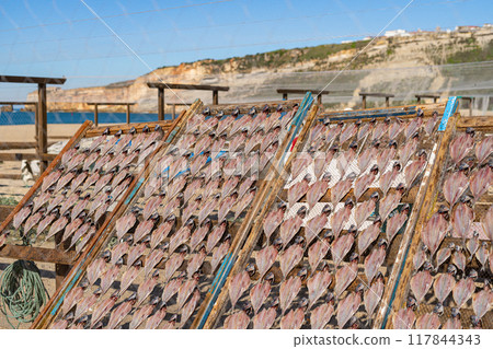 Fish drying on the beach in Nazare Fish drying on the beach in Nazare 117844343