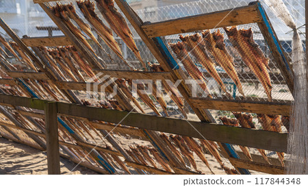 Fish drying on the beach in Nazare 117844348