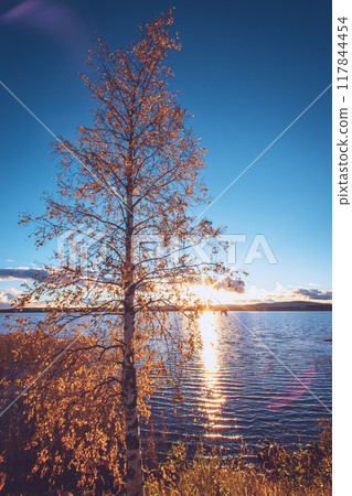 lake, landscape, tree 117844454