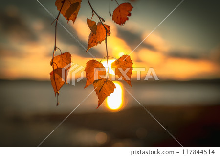 Autumn view from Sotkamo, Finland.	 117844514