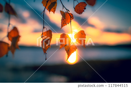 Autumn view from Sotkamo, Finland. Autumn view from Sotkamo, Finland. 117844515
