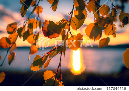 Autumn view from Sotkamo, Finland.	 117844516