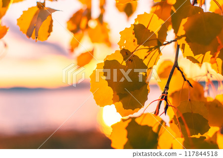 Autumn view from Sotkamo, Finland.	 117844518
