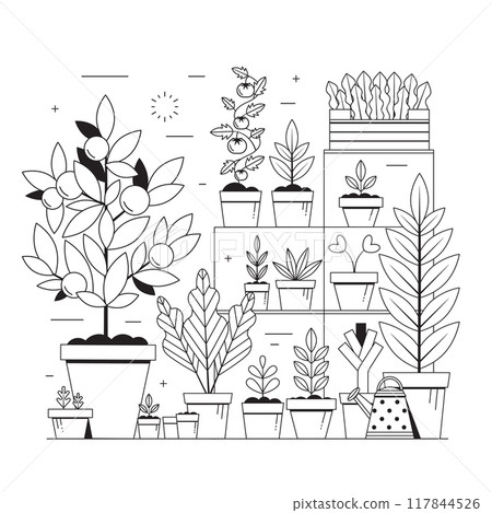 Spring Veggies Gardening and Plants Growing Scene 117844526