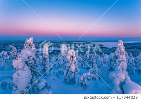 Winter landscape from Sotkamo, Finland. 117844829