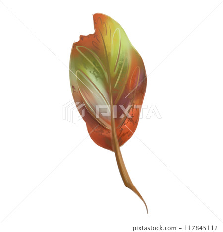 A bright autumn green-orange leaf. Traditional festival and harvest festival, seasonal plants. Nature, trees and rural life. Digital isolated illustration. For the design of printing and packaging 117845112
