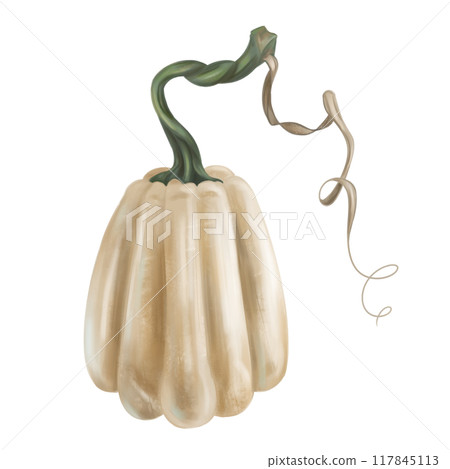 White pumpkin with stalk, autumn harvest. Fresh farm vegetables, healthy food, vegetarianism. Garden plants, agriculture. Isolated digital handmade illustration. An element of printing and packaging White pumpkin with stalk, autumn harvest. Fresh farm vegetables, healthy food, vegetarianism. Garden plants, agriculture. Isolated digital handmade illustration. An element of printing and packaging 117845113