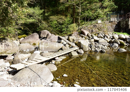Hakone Town: Sukumo River Nature Trail Log Bridge and Sukumo River Hakone Town: Sukumo River Nature Trail Log Bridge and Sukumo River 117845406
