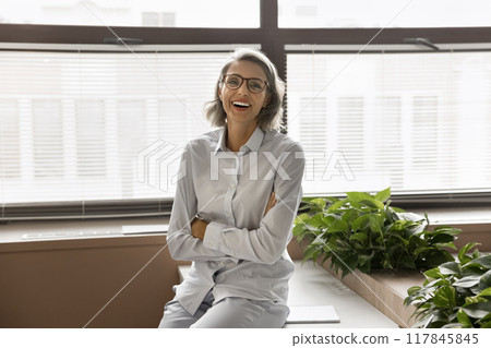 Mature businesswoman posing for camera at modern workplace 117845845