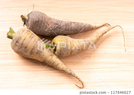 白參和紫參 117846027