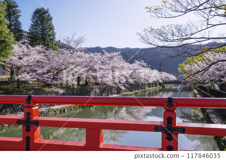 Scenery of the Okazaki Canal and rows of cherry blossom trees. Kyoto's famous cherry blossom spots. Kyoto tourist attractions. Scenery of the Okazaki Canal and rows of cherry blossom trees. Kyoto's famous cherry blossom spots. Kyoto tourist attractions. 117846035