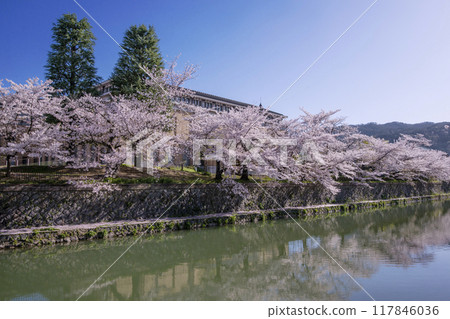 Scenery of the Okazaki Canal and rows of cherry blossom trees, famous cherry blossom spots in Kyoto, Kyoto tourist attractions Scenery of the Okazaki Canal and rows of cherry blossom trees, famous cherry blossom spots in Kyoto, Kyoto tourist attractions 117846036