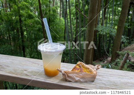 A quiet cafe in the woods 117846521