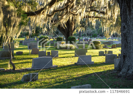 Old American cemetery with rows of tombstones under southern oak trees on green grass in Orlando, Florida 117846691