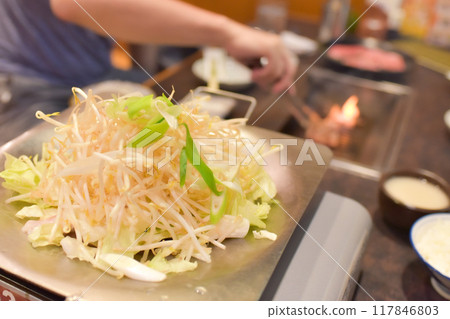 油炸蔬菜 油炸蔬菜 117846803
