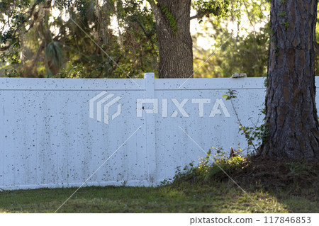 Dirty white vinyl picket fence on green lawn surrounding property grounds for backyard protection and privacy 117846853