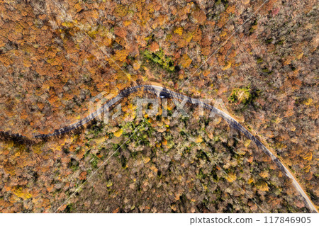 Forest road in North Carolina Appalachian mountains, USA. American highway in fall season Forest road in North Carolina Appalachian mountains, USA. American highway in fall season 117846905