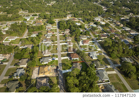 Aerial view of suburban landscape with private homes between green palm trees in Florida quiet residential area 117847120