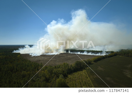 Aerial view of white smoke from forest fire rising up polluting atmosphere. Natural disaster concept 117847141