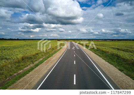 Aerial view of empty intercity road between green agricultural fields. Top view from drone of highway roadway 117847299