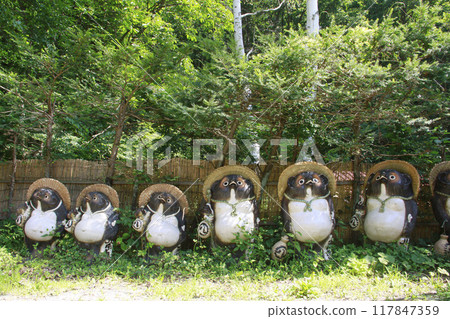 浣熊繪圖 117847359