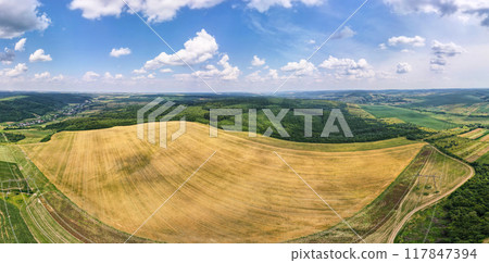 Aerial landscape view of yellow cultivated agricultural field with ripe wheat on bright summer day Aerial landscape view of yellow cultivated agricultural field with ripe wheat on bright summer day 117847394