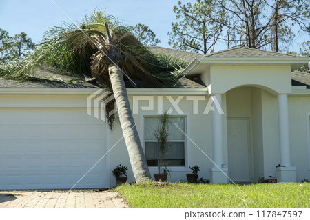 Hurricane damage to a house roof in Florida. Fallen down big tree after tropical storm winds. Consequences of natural disaster Hurricane damage to a house roof in Florida. Fallen down big tree after tropical storm winds. Consequences of natural disaster 117847597