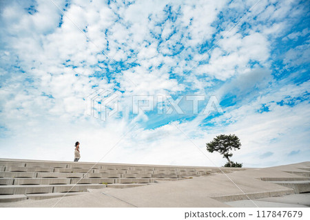 A young woman walking next to a tree on the beach under a blue sky 117847679