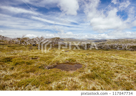 Porcupine Rocks Walk in Australia Porcupine Rocks Walk in Australia 117847734